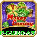 cc44 VIP Casino App
