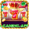 ft969 Mega Gaming App